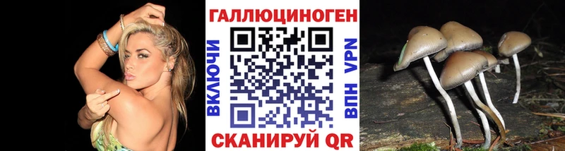 наркошоп  Валуйки  Псилоцибиновые грибы Cubensis 