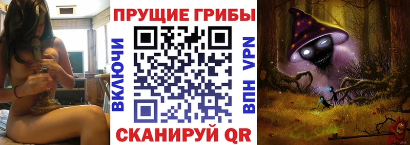 Галлюциногенные грибы Psilocybine cubensis Валуйки